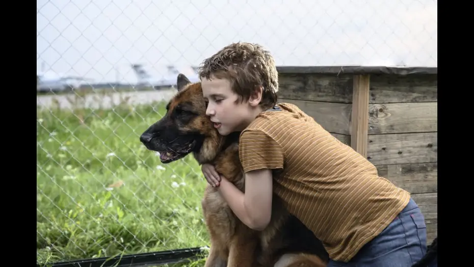 Video for the film A Dog Named Palma — Una amistad para siempre - Tráiler