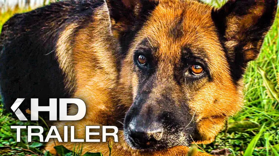Video for the film A Dog Named Palma — EIN HUND NAMENS PALMA Trailer German Deutsch (2021) Exklusiv