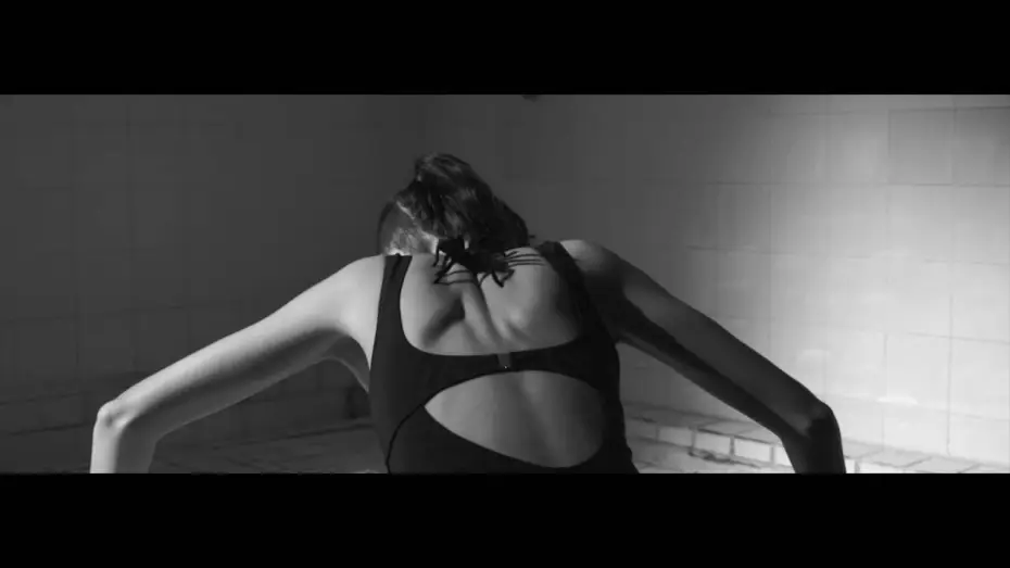 Video for the film Arachnids — LAS ARÁCNIDAS - Tomás Espinoza