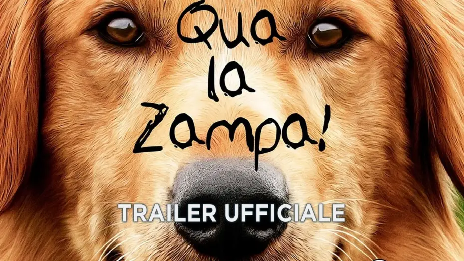 Video for the film A Dog's Purpose — Qua la zampa! - Trailer italiano ufficiale [HD]