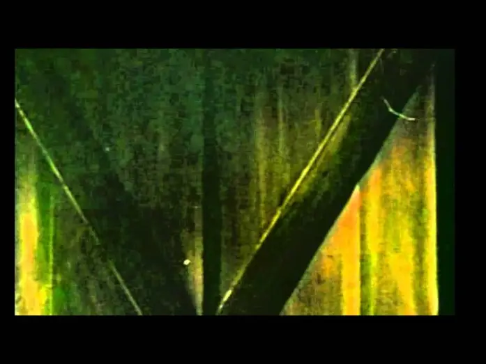 Video for the film Day of the Animals — SOMETHING IS OUT THERE (1977) TV Spot