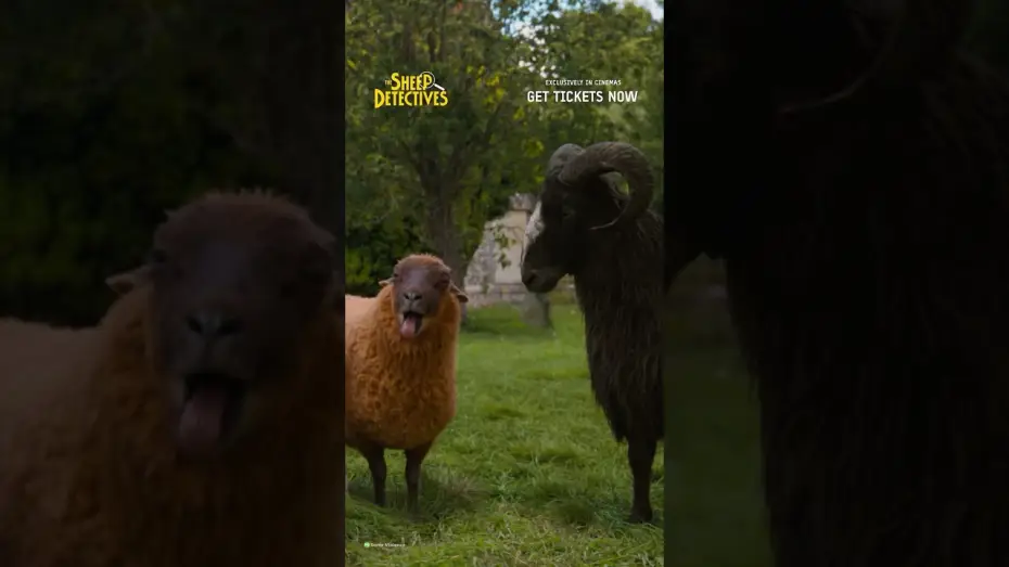 Video for the film The Sheep Detectives — There They Are
