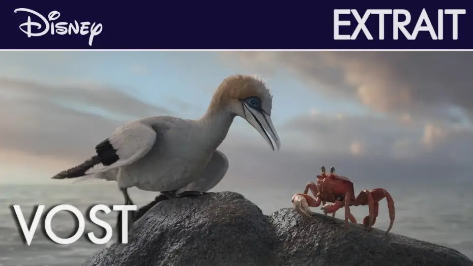 Video for the film The Little Mermaid — La Petite Sirène - Extrait : Écoute-moi bien l'oiseau (VOST) | Disney