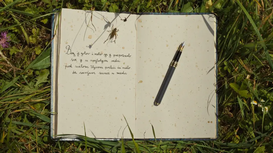 Video for the film Vihor — Vihor Trailer