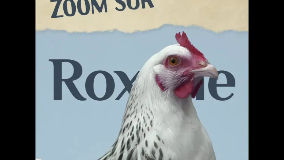 Video for the film Roxane — Roxane - avec Guillaume de Tonquédec et Léa Drucker