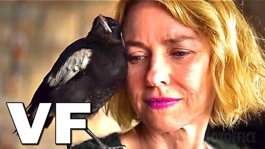 Video for the film Penguin Bloom — PENGUIN BLOOM Bande Annonce VF (2021) Andrew Lincoln, Naomie Watts, Drame