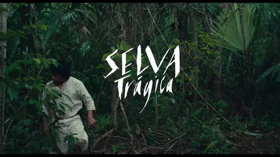 Video for the film Tragic Jungle — #BIFF2020 World Cinema - Tragic Jungle / 월드 시네마 - 비탄의 정글