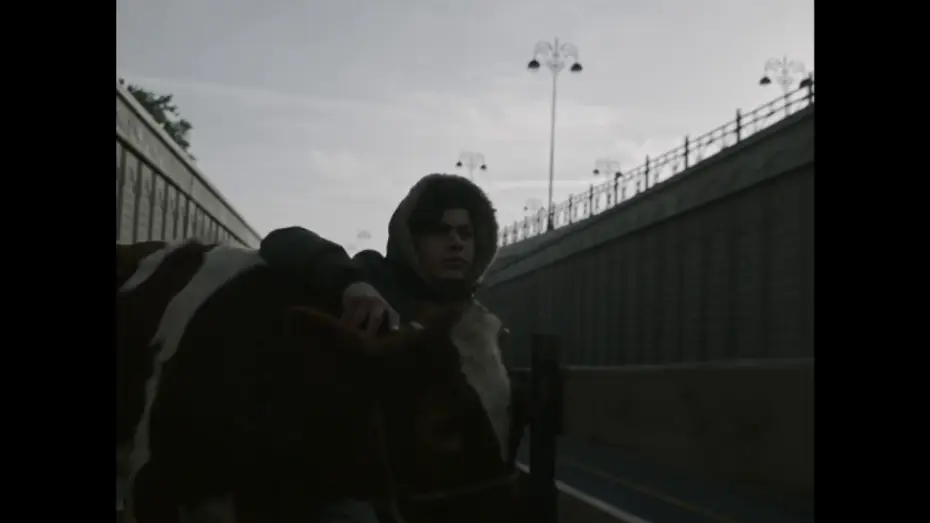 Video for the film Salt, Pepper to Taste — Salt, Pepper to Taste - Trailer | IFFR 2019