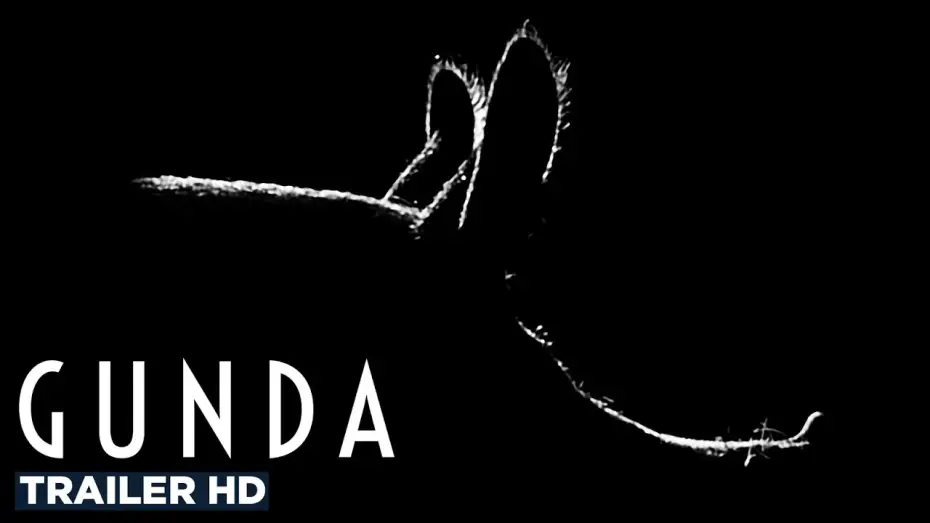 Video for the film Gunda — GUNDA | Official Trailer HD