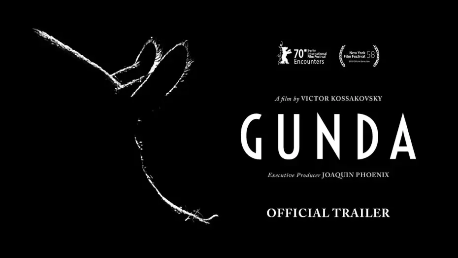 Video for the film Gunda — GUNDA - Official Trailer