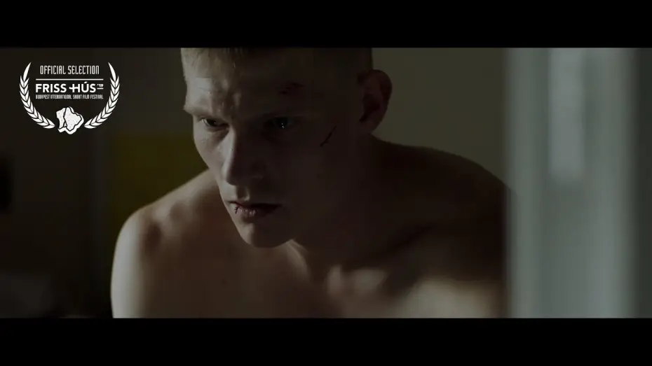 Video for the film The Buzz — Szokásjog (2019) - Trailer