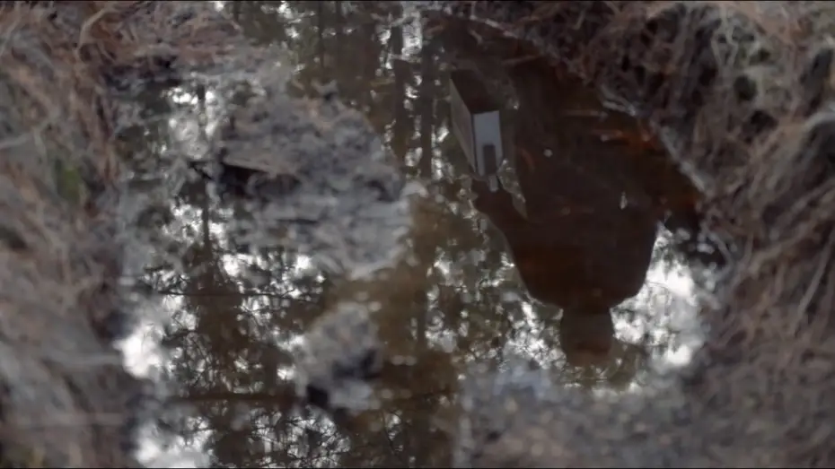 Video for the film The Other One — VdR2020 | Carte Blanche | Francisco Bermejo | The Other One