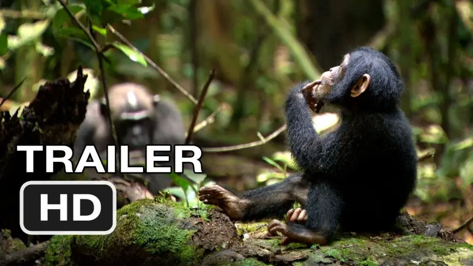 Video for the film Chimpanzee — Chimpanzee Official Trailer #1 (2012) Disney Nature Movie HD