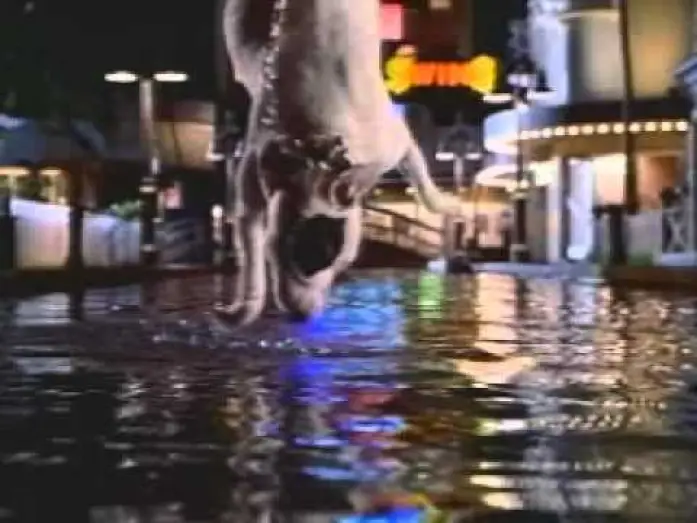 Video for the film Babe: Pig in the City — Babe: Pig in the City Trailer (1998)