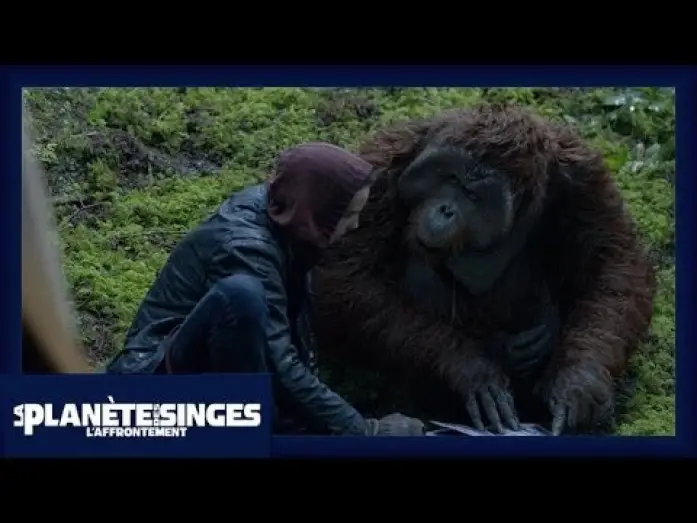 Video for the film Dawn of the Planet of the Apes — La Planète des Singes : L'Affrontement - Extrait Le Livre [Officiel] VF HD