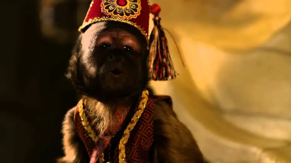 Video for the film Treasure Buddies — Supercuccioli a caccia di tesori - Trailer