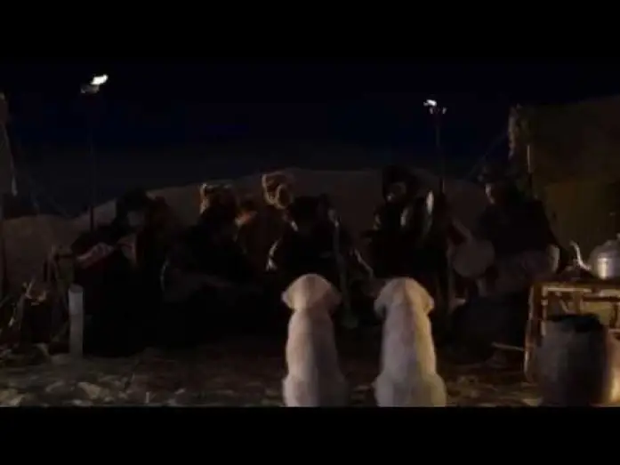 Video for the film Treasure Buddies — Treasure Buddies - My 2 seconds of fame