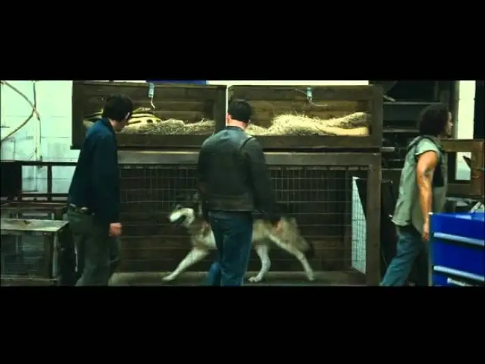 Video for the film Contraband — Contrebande - bande-annonce VOST