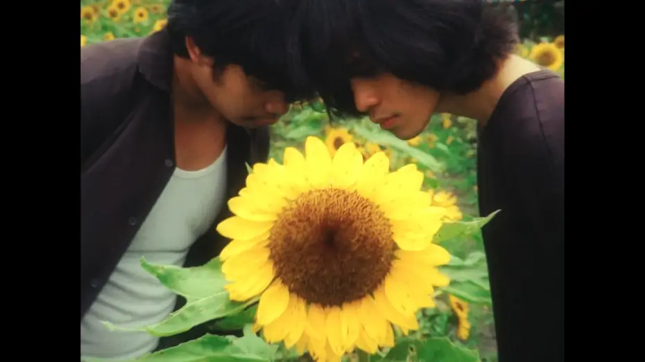 Video for the film sunburn — 【POV XXII】  Sunburn Teaser