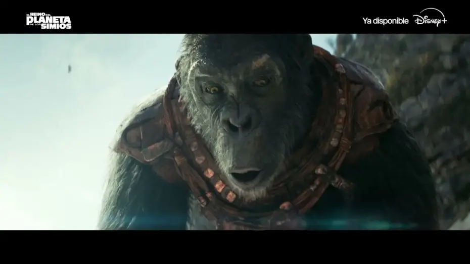 Video for the film Kingdom of the Planet of the Apes — Disfrútala YA en Disney+
