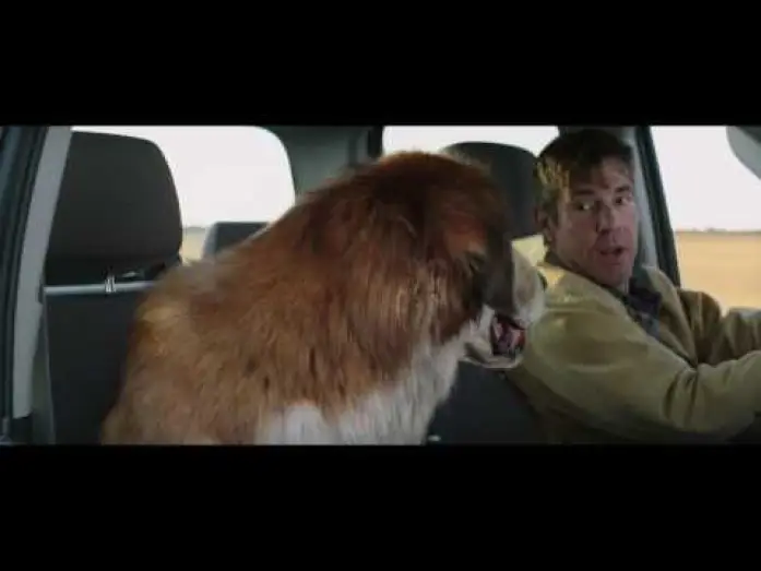 Video for the film A Dog's Purpose — MES VIES DE CHIENS - Extrait - "Deux vieux copains" - VF