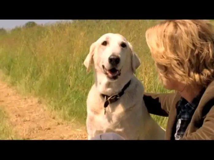 Video for the film Marley & Me — Marley & Ich - Trailer