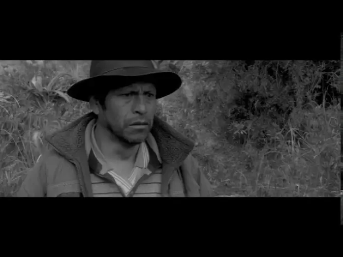 Video for the film Samichay — SAMICHAY Trailer Oficial c dialogos @2020
