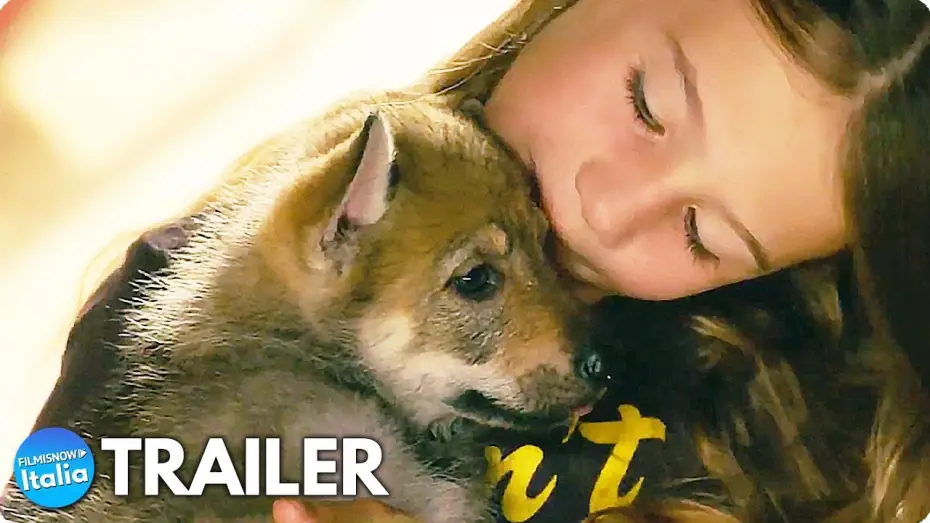 Video for the film Vicky and Her Mystery — VICKY E IL SUO CUCCIOLO (2022) Trailer ITA del Film sull'Amiciza con un Lupo