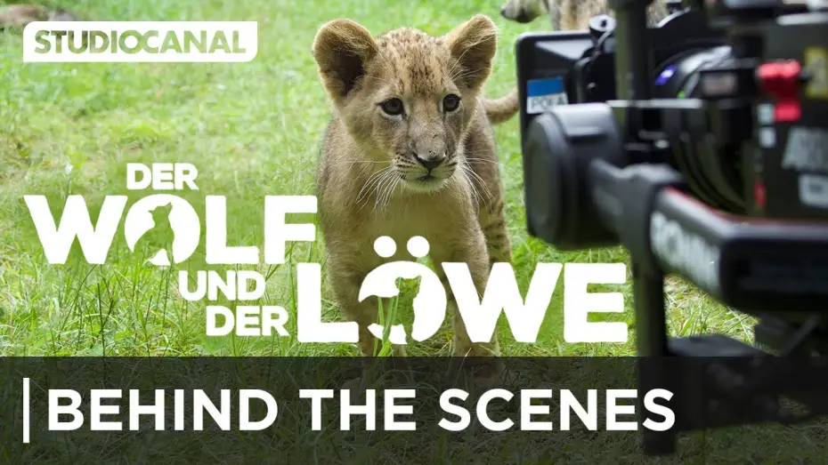 Video for the film The Wolf and the Lion — Hinter den Kulissen