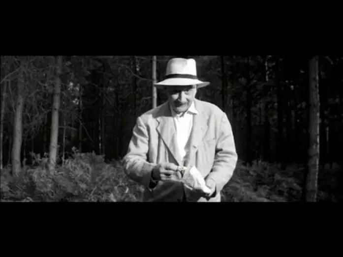 Video for the film Never Take Sweets from a Stranger — Brian Trenchard-Smith on NEVER TAKE CANDY FROM A STRANGER