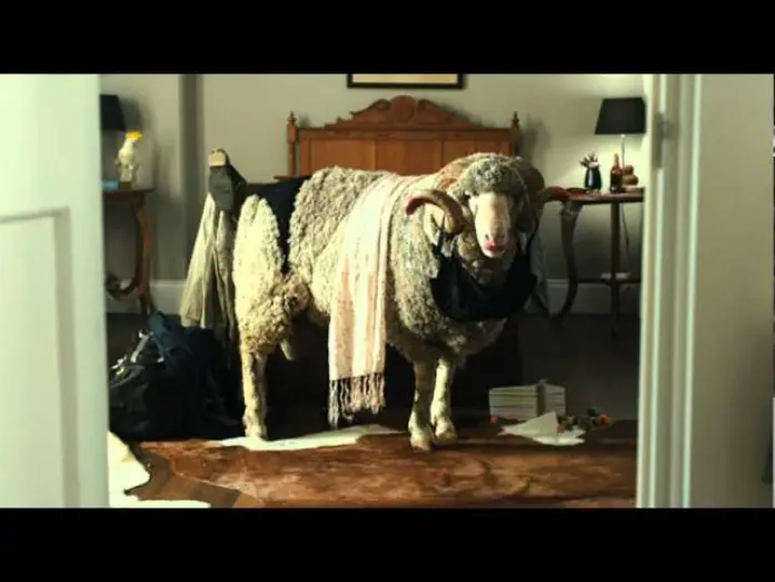 Video for the film A Few Best Men — TRAILER UNA BODA DE MUERTE