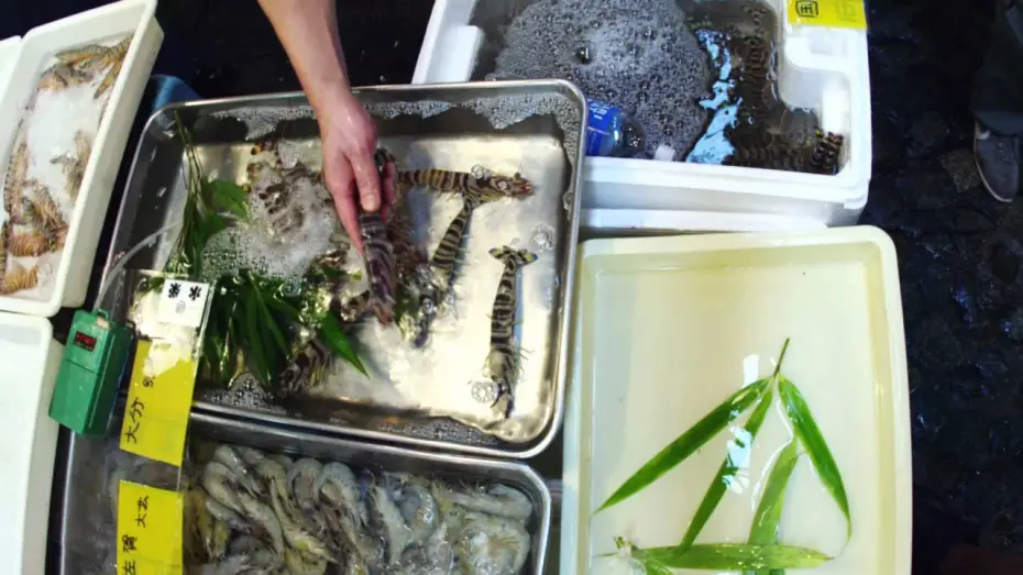 Video for the film Jiro Dreams of Sushi — Film Clip