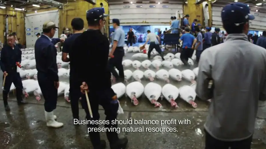 Video for the film Jiro Dreams of Sushi — Disappearing Fish