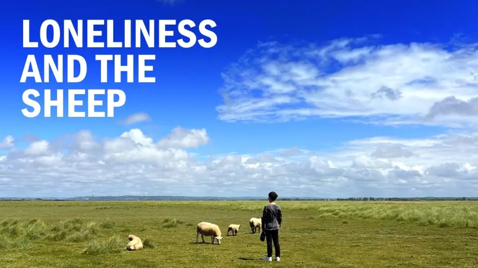 Video for the film Loneliness and the Sheep — Loneliness and the Sheep | Short Film