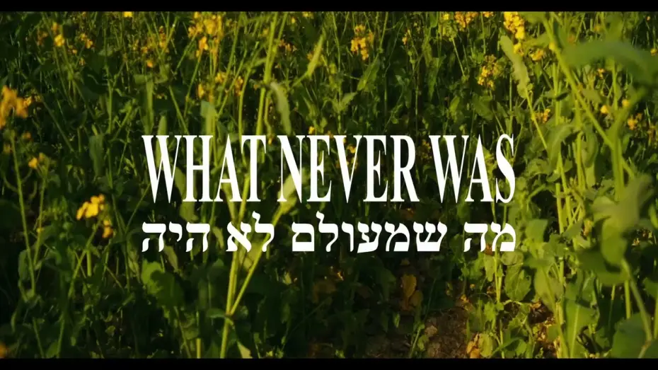 Video for the film What Never Was — What Never Was: Trailer