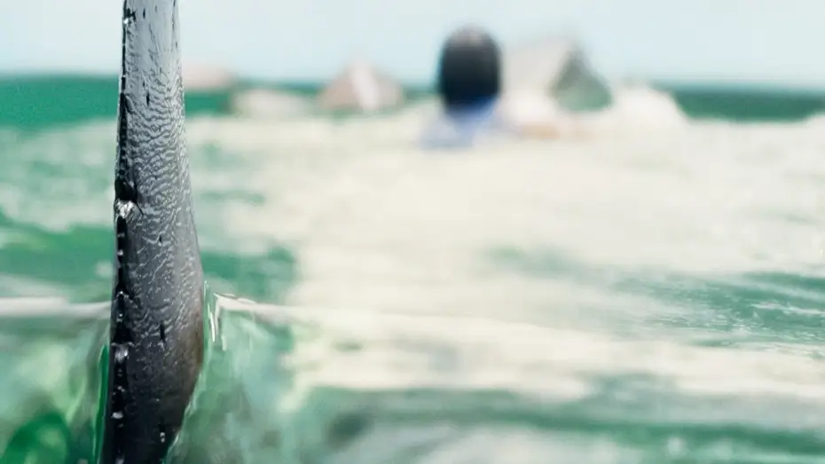 Video for the film Deep Water — Teaser Trailer