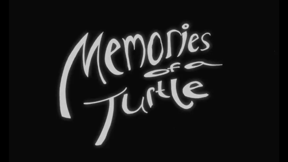 Video for the film Memories of a Turtle — MEMORIES OF A TURTLE  |  Teaser Trailer
