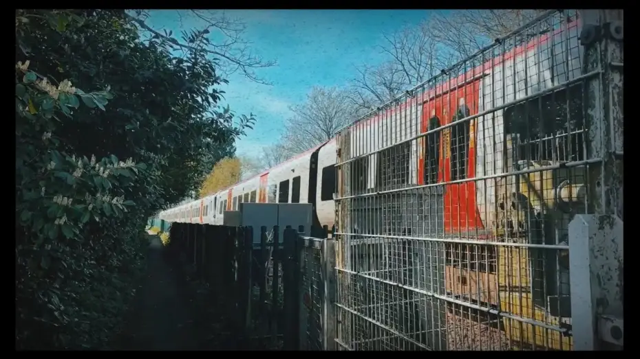 Video for the film While I'm Away — Whirl