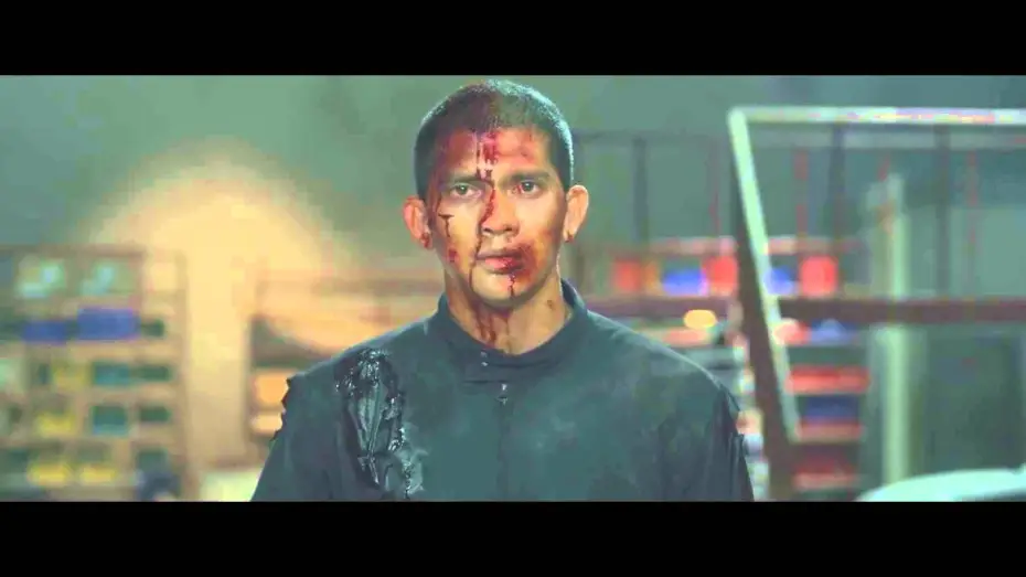 Video for the film The Raid 2 — Ending Scene