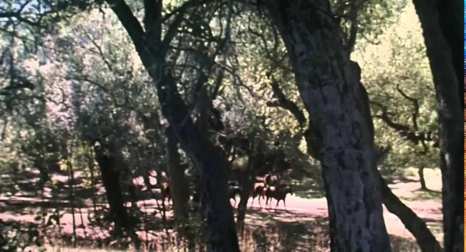 Video for the film The Wedding Planner — Un mariage trop parfait