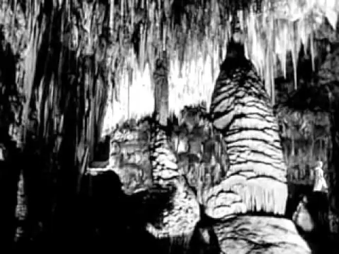 Video for the film Earth vs. the Spider — Die Rache der schwarzen Spinne - 1958