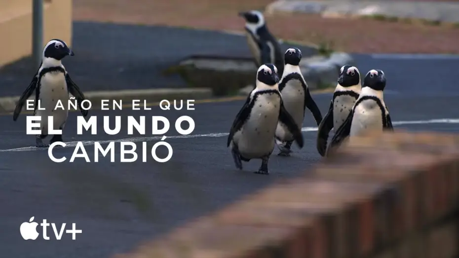 Video for the film The Year Earth Changed — Tráiler oficial [Subtitulado]
