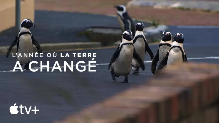 Video for the film The Year Earth Changed — Bande-annonce officielle [VOSTFR]