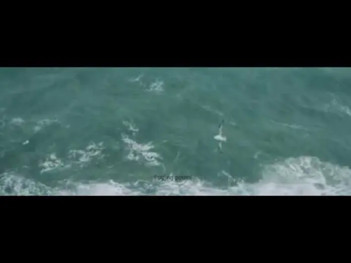 Video for the film Apausalypse — Apausalypse - Trailer
