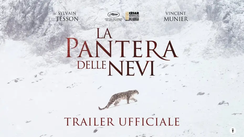 Video for the film The Velvet Queen — La Pantera delle Nevi - dal 20 ottobre al cinema | Trailer ITA