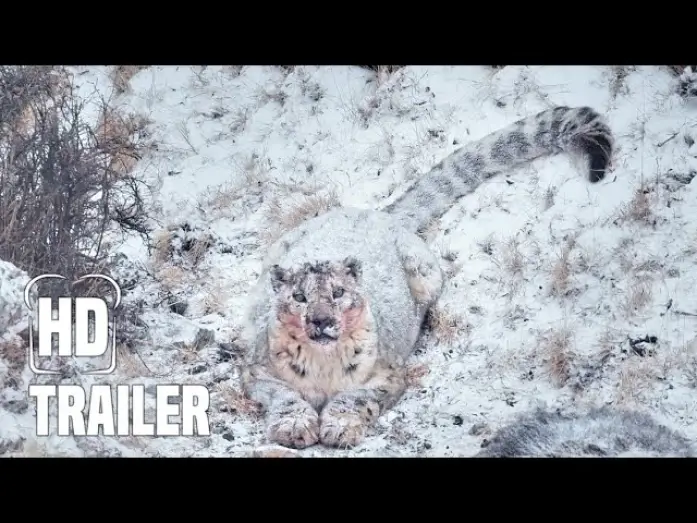 Video for the film The Velvet Queen — DER SCHNEELEOPARD Trailer German Deutsch (2022)