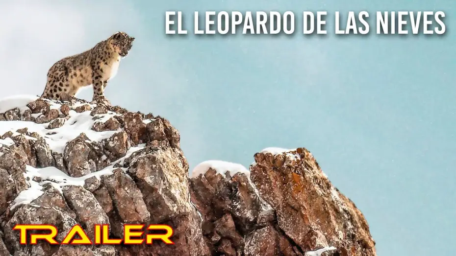 Video for the film The Velvet Queen — El leopardo de las nieves - Tráiler español