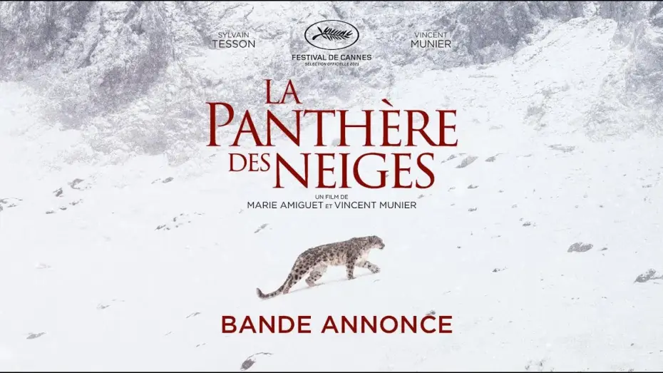 Video for the film The Velvet Queen — La Panthère des neiges - Bande Annonce [VF]