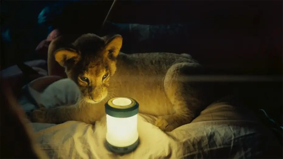 Video for the film King — King, mi pequeño rey - Trailer español