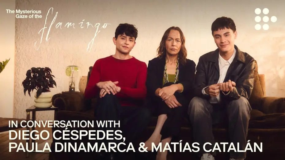 Video for the film The Mysterious Gaze of the Flamingo — In Conversation with the director & cast